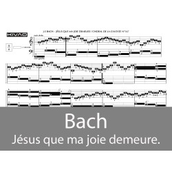 Bach Jésus que ma joie demeure
