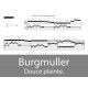 Burgmuller - Douce plainte 