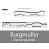 Burgmuller - Douce plainte 
